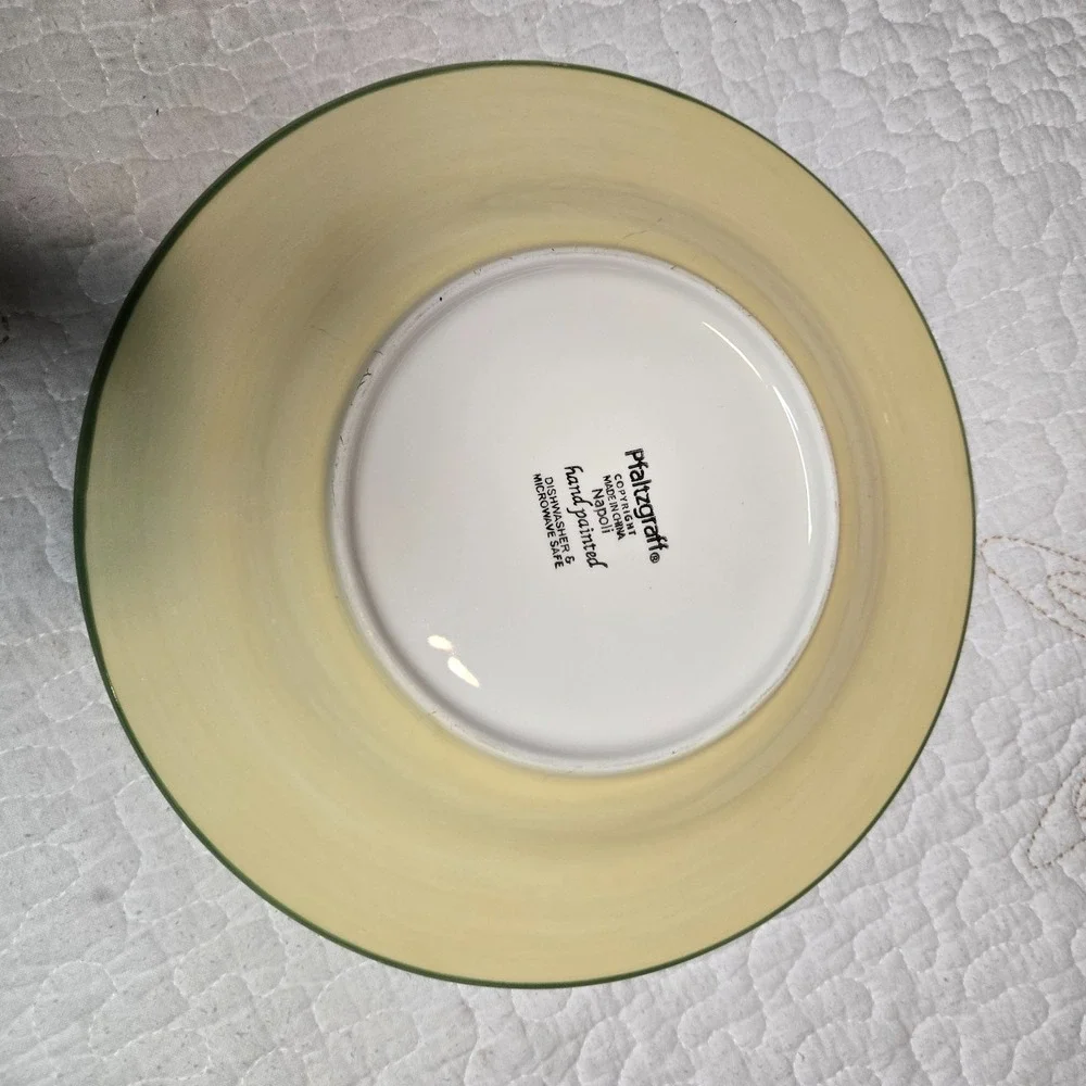 Pfaltzgraff Hand Painted Lunch Plate Dishwasher Safe Microwave Safe 9 inches
